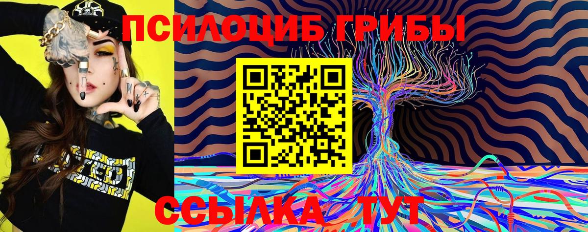 Галлюциногенные грибы Cubensis Дубна
