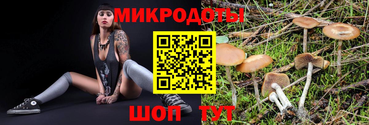 Дубна  Галлюциногенные грибы Magic Shrooms  Вход с VPN 